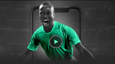 16战辉煌，灰熊对阵鹈鹕：NBA激战数据分析，谁将延续连胜传奇？